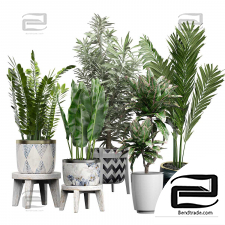 Indoor plants set 539