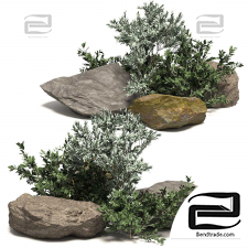Stones with plants 03