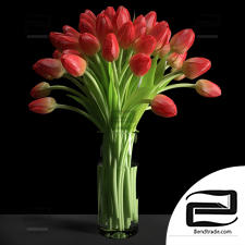 Bouquet Bouquet Red tulips