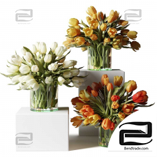 Bouquets of Yellow, orange and white tulips