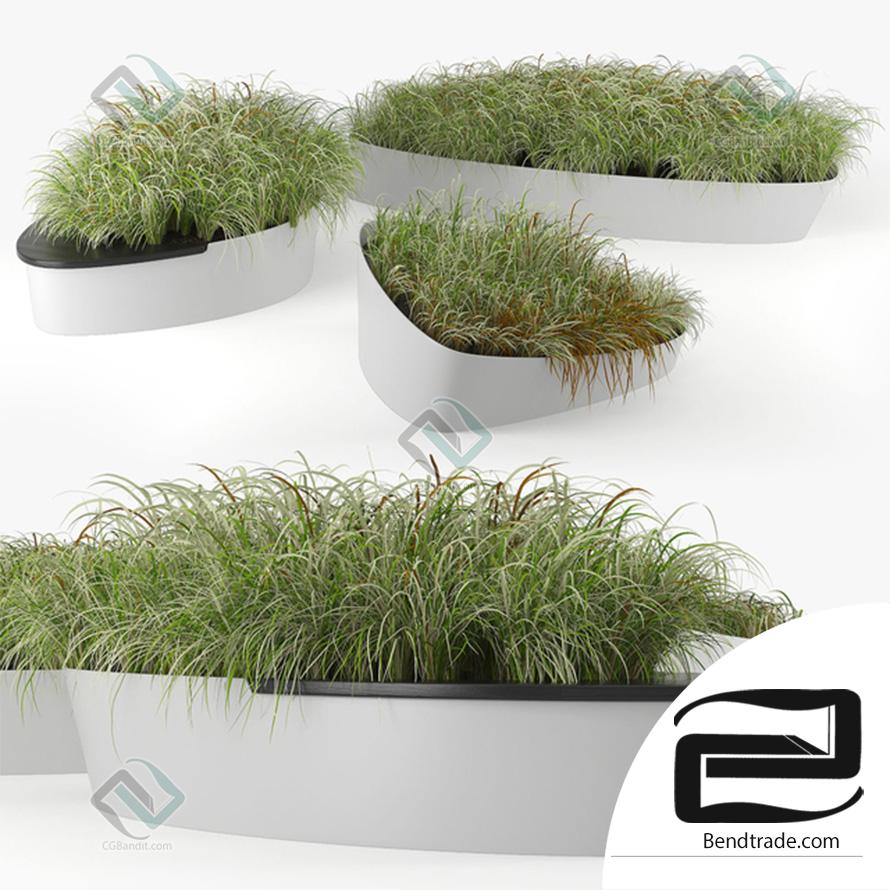 Grass Planterworx Dune 3D model download on Bendtrade in 3d max